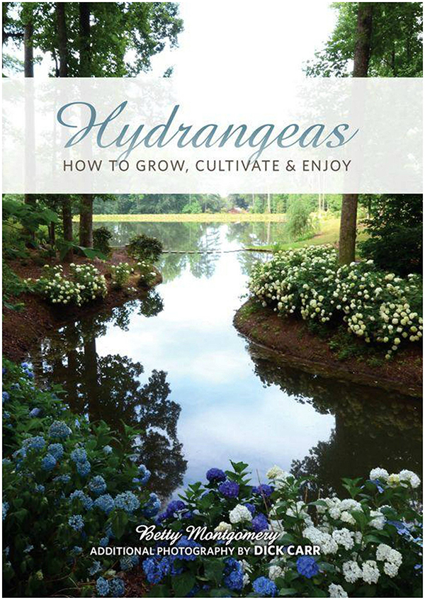 Hydrangeas: How to Grow, Cultivate & Enjoy